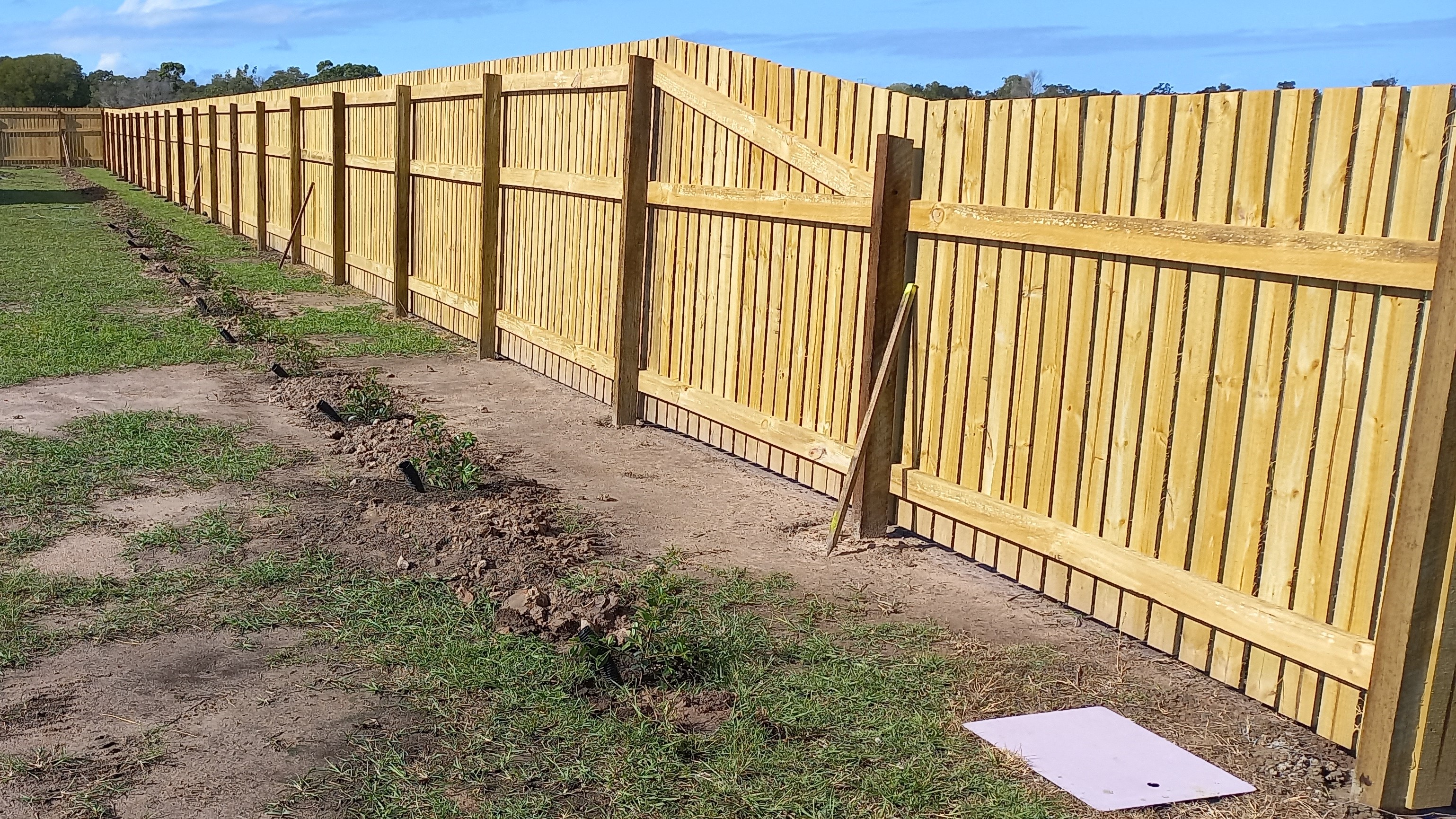 New wood paling fence