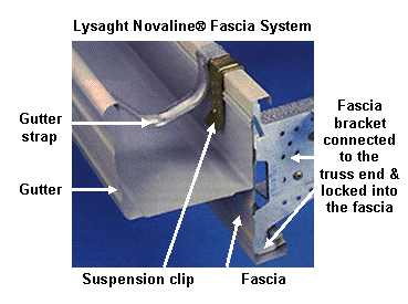 Fascia system