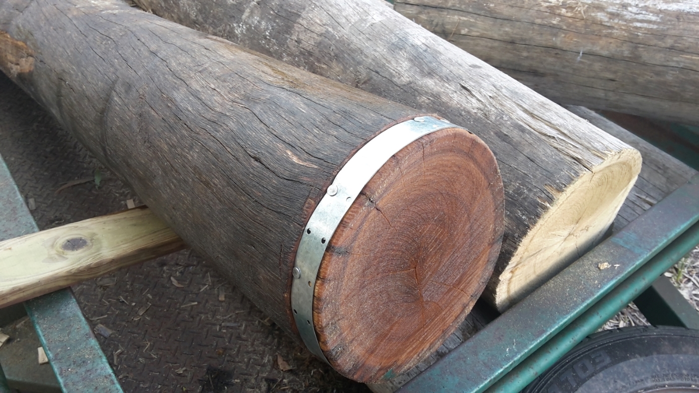 blackbutt fence posts