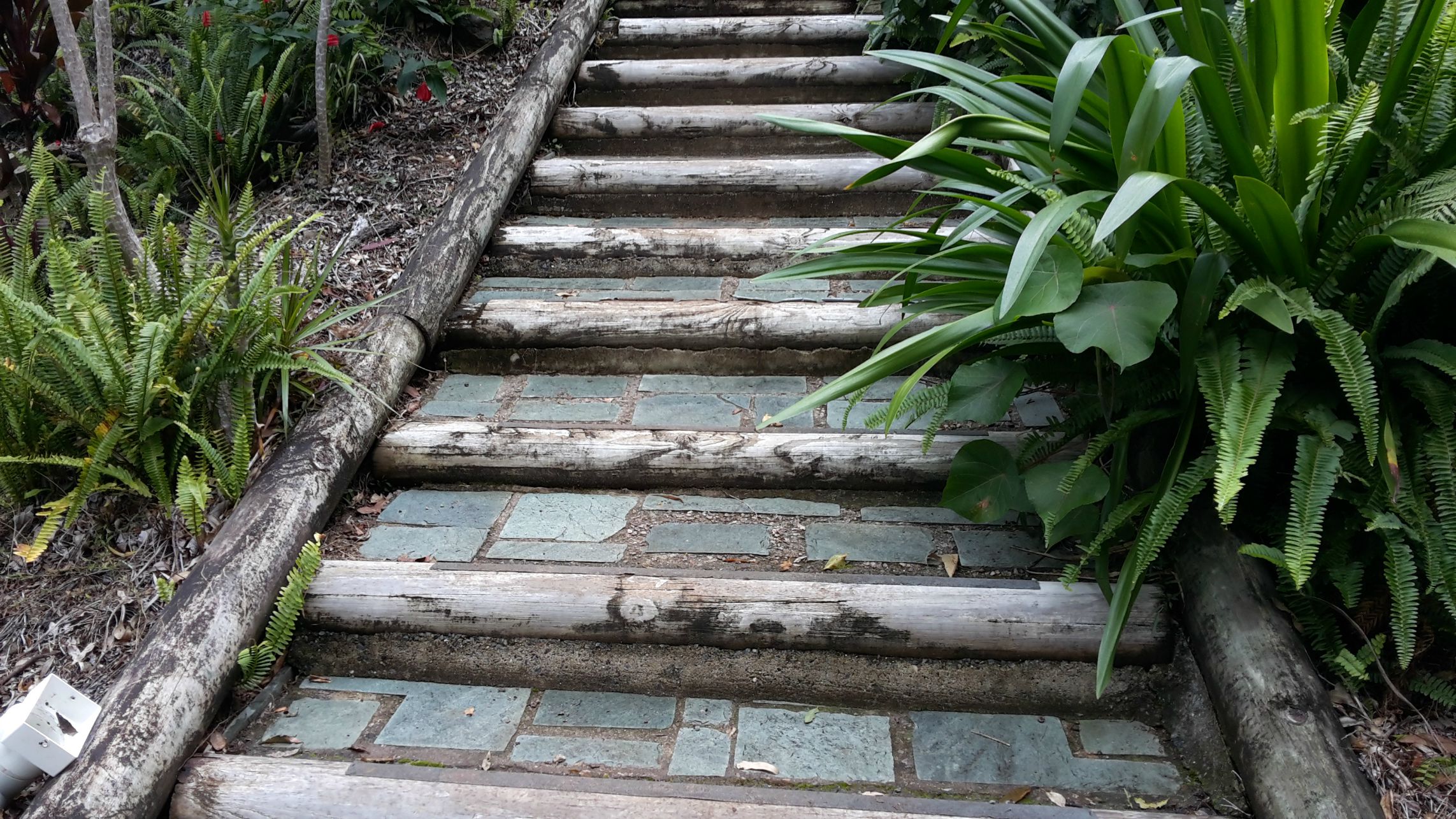 Rustic outdoor steps