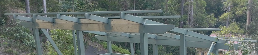 shed roof framing