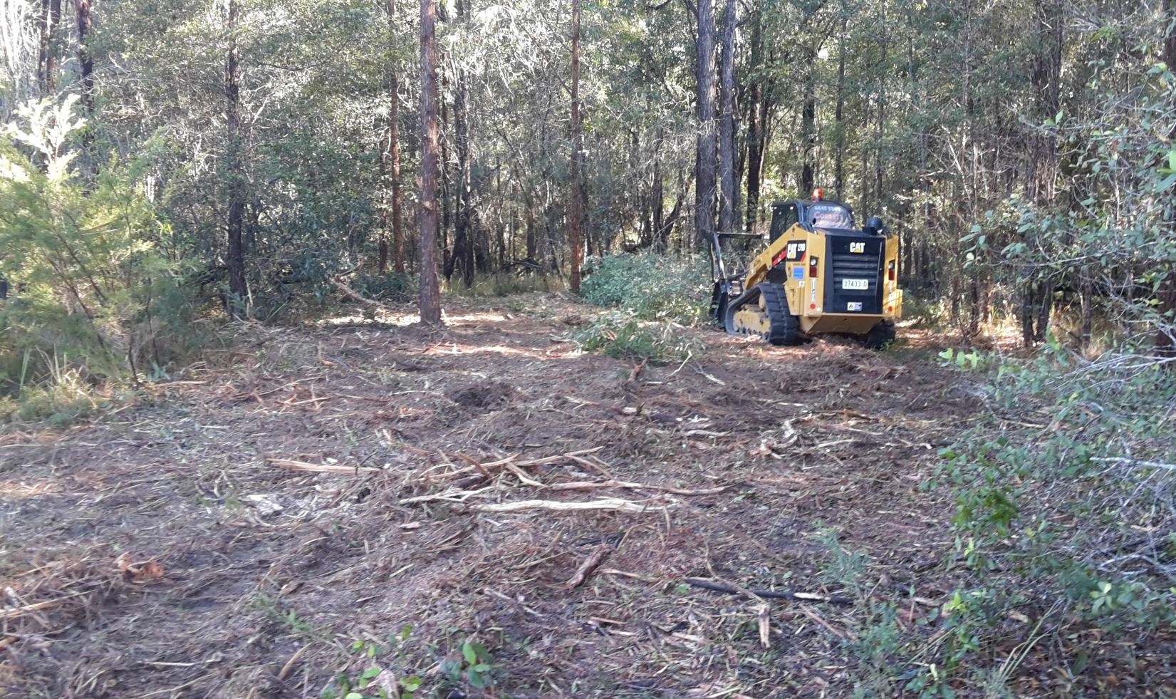 Bobcat tree shredder